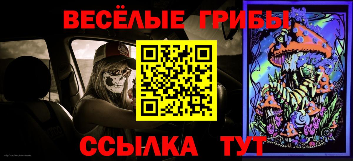 Аксай  Псилоцибиновые грибы прущие грибы  Вход с VPN 
