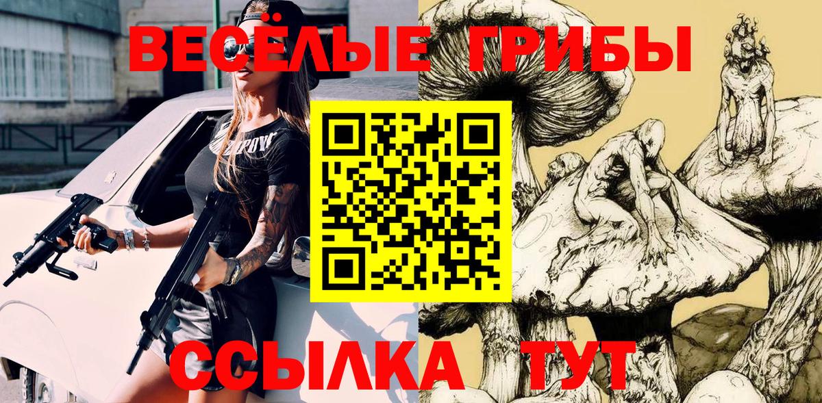 Псилоцибиновые грибы Psilocybine cubensis Аксай